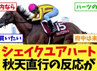 【天皇賞秋2026】シェイクユアハート、秋天直行にファンの評価が割れている…【競馬】