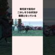 菊花賞で意見が二分しそうな状況が話題となっている #競馬 #競馬予想 #shorts