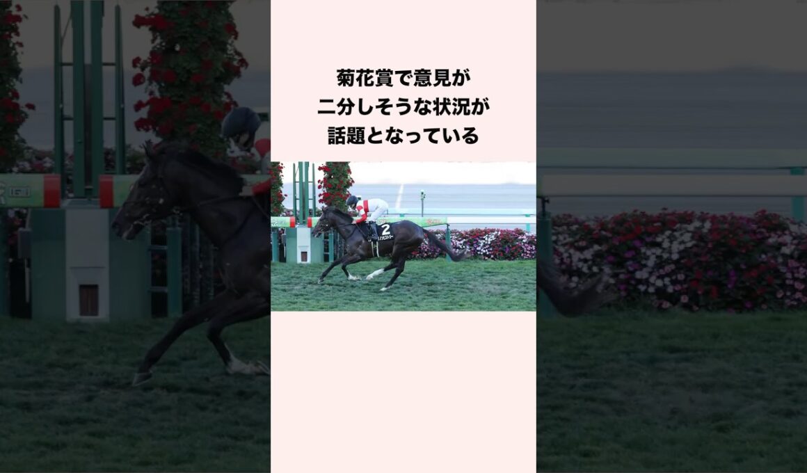 菊花賞で意見が二分しそうな状況が話題となっている #競馬 #競馬予想 #shorts