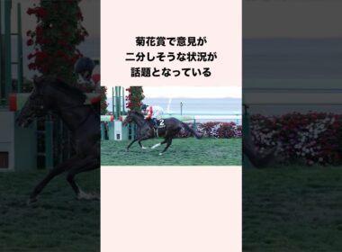 菊花賞で意見が二分しそうな状況が話題となっている #競馬 #競馬予想 #shorts