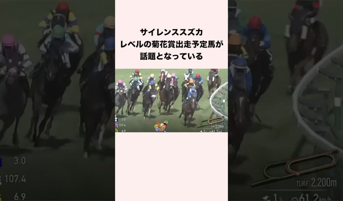 サイレンススズカレベルの菊花賞出走予定馬が話題となっている #競馬 #競馬予想 #shorts