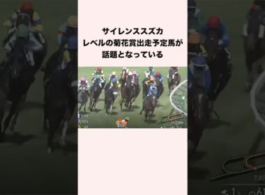サイレンススズカレベルの菊花賞出走予定馬が話題となっている #競馬 #競馬予想 #shorts