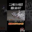菊花賞で負けたので高知ファイナルで人生勝負したぜ！