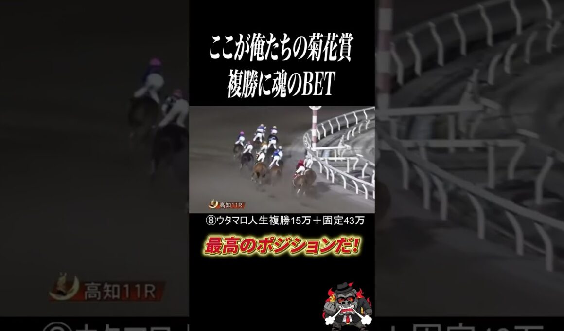 菊花賞で負けたので高知ファイナルで人生勝負したぜ！