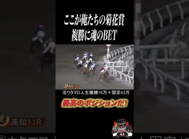 菊花賞で負けたので高知ファイナルで人生勝負したぜ！