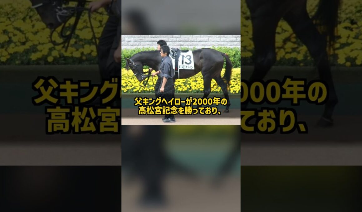 2走続けて二桁着順だった6番人気はなぜ2009年スプリンターズSを1センチ差で勝てたのか ローレルゲレイロ #Shorts