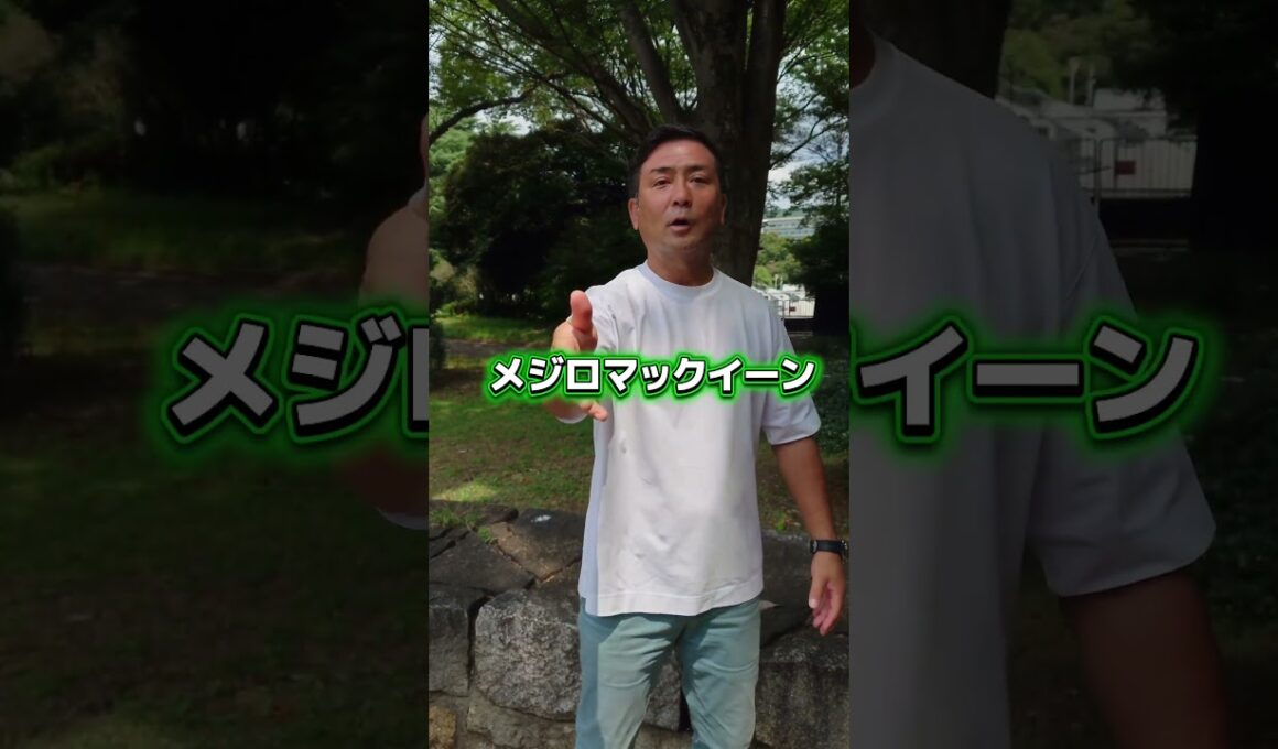 問題です！芦毛のG1勝ち馬を1分以内に5頭あげてください　#shorts #競馬
