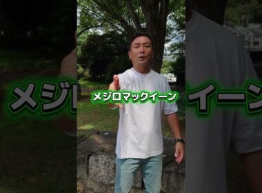 問題です！芦毛のG1勝ち馬を1分以内に5頭あげてください　#shorts #競馬