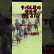 2024年菊花賞、アーバンシックの成長と個性派だらけのメンバー達(アテレコ)　#競馬# #競馬好き #馬#馬好き#アーバンシック#アドマイヤテラ#メイショウタバル#ダノンデサイル#菊花賞