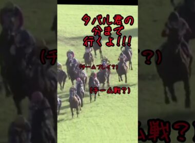 2024年菊花賞、アーバンシックの成長と個性派だらけのメンバー達(アテレコ)　#競馬# #競馬好き #馬#馬好き#アーバンシック#アドマイヤテラ#メイショウタバル#ダノンデサイル#菊花賞