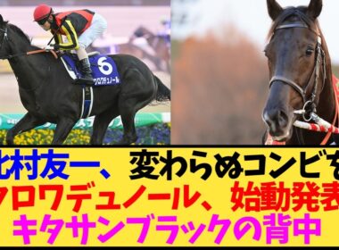 【天皇賞秋2026】北村友一とのコンビは継続？クロワデュノールが天皇賞秋で始動！