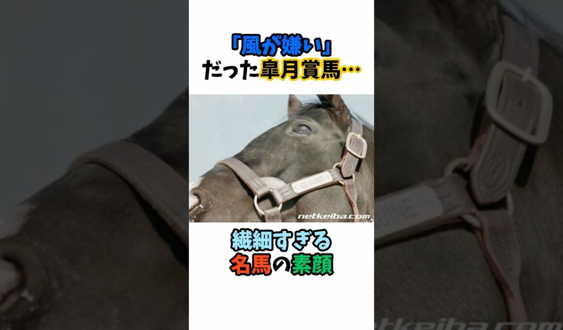 「風が嫌い」だった皐月賞馬…繊細すぎる名馬の素顔 #競馬#horse