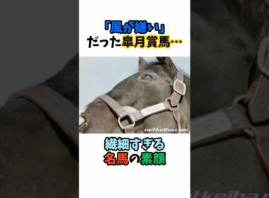 「風が嫌い」だった皐月賞馬…繊細すぎる名馬の素顔 #競馬#horse