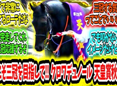 『俺たちのダービー馬は期待を裏切らない‼今度こそ三冠を目指して‼クロワデュノール天皇賞秋参戦‼』に対するみんなの反応【競馬の反応集】