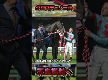 クロワデュノールの秋始動戦発表！！ #shorts #競馬 #中央競馬 #競馬予想 #クロワデュノール #北村友一 #天皇賞秋 #ジャパンカップ #有馬記念 #大阪杯 #天皇賞春 #宝塚記念