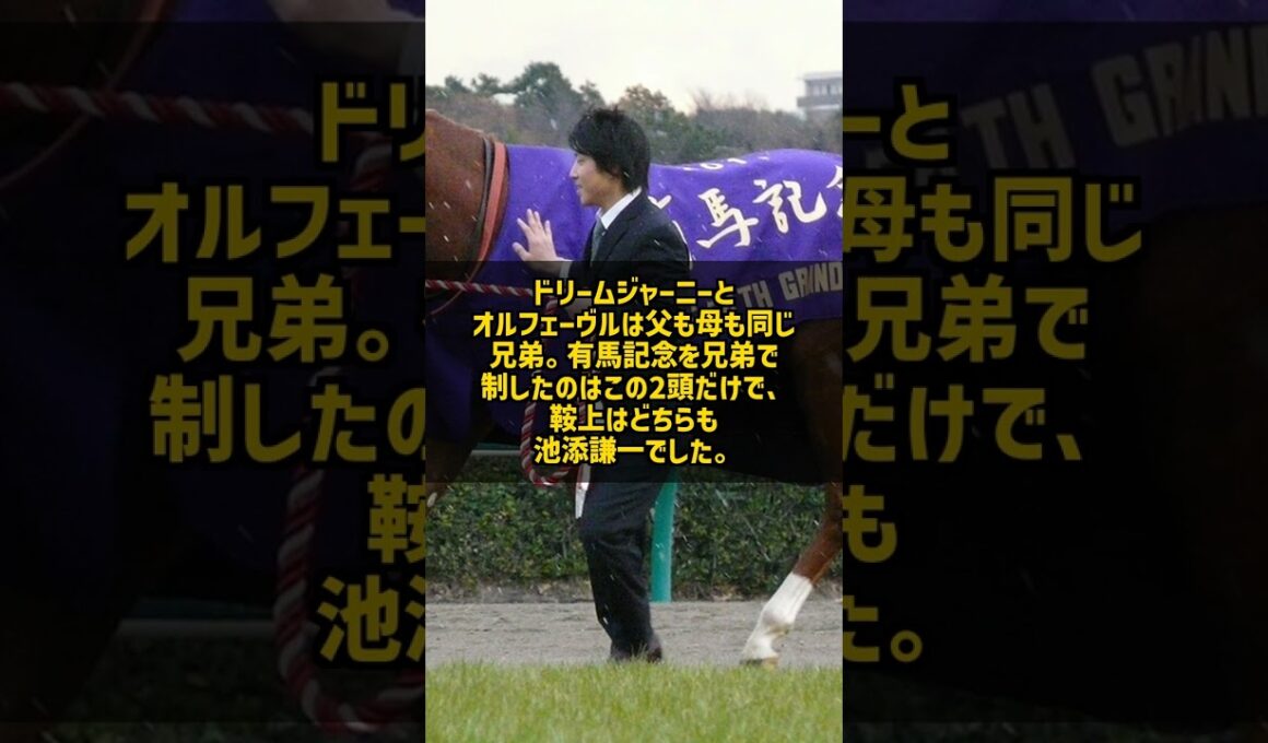 なぜ池添謙一は有馬記念を4勝できたのか 3勝は同じ全兄弟の2頭 #Shorts