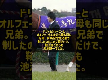 なぜ池添謙一は有馬記念を4勝できたのか 3勝は同じ全兄弟の2頭 #Shorts