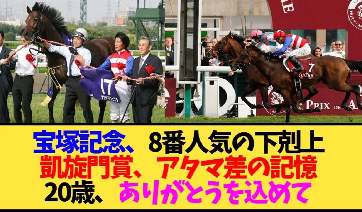【追悼】ナカヤマフェスタが天国へ。宝塚記念V・凱旋門賞2着の名馬を偲ぶ