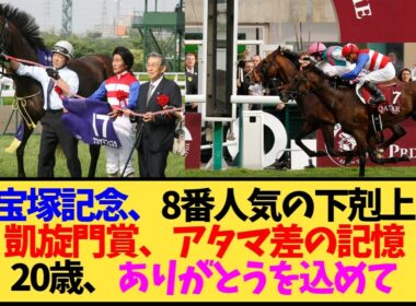 【追悼】ナカヤマフェスタが天国へ。宝塚記念V・凱旋門賞2着の名馬を偲ぶ