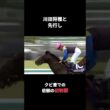 5歳で覚醒した善戦マン｜ラブリーデイ 宝塚記念・天皇賞秋2015重賞2着どまり3回から、6番人気でGI初制覇#Shorts #競馬 #ラブリーデイ
