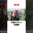 菊花賞 打倒ロブチェン包囲網！ #競馬