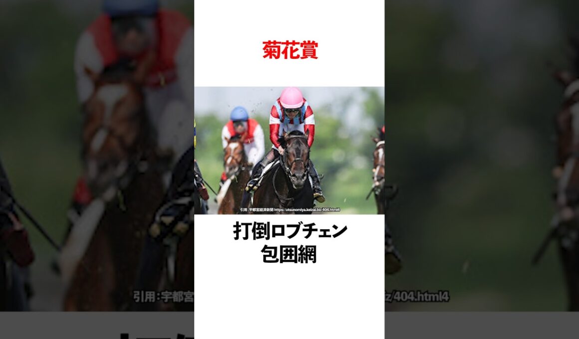 菊花賞 打倒ロブチェン包囲網！ #競馬