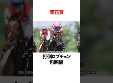 菊花賞 打倒ロブチェン包囲網！ #競馬