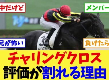 【日本海ステークス2026】クロワデュノール全弟チャリングクロス、菊花賞前の一戦にファンの評価が割れる…【競馬】