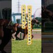 【メジロドーベル物語②】「4馬身差の雪辱」桜花賞で千切られた馬が、牝馬二冠を獲り返すまで