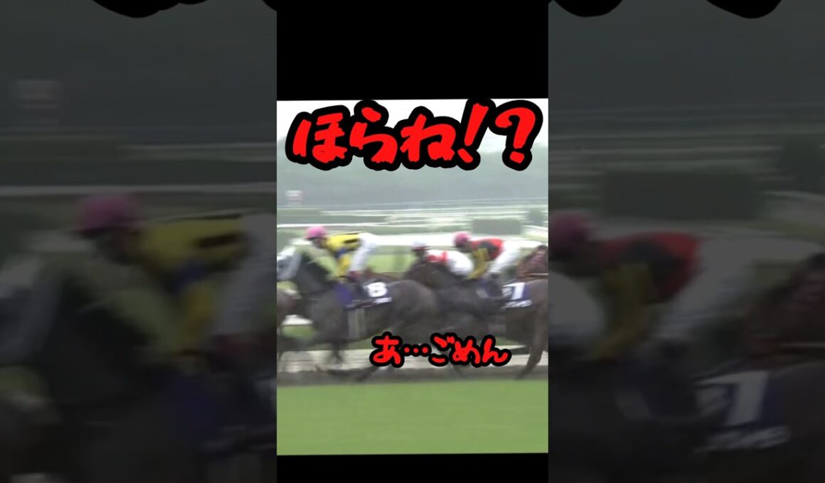 デサイルのベリベリ宝塚記念2026☆(アテレコ)# #競馬 #競馬好き #馬#馬好き#ダノンデサイル#メイショウタバル#コスモキュランダ#宝塚記念