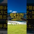なぜ364日ぶりの出走で有馬記念を勝てたのか トウカイテイオー1993 #Shorts
