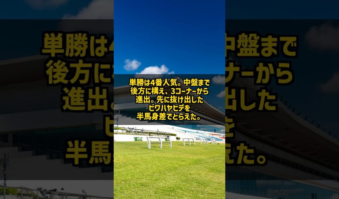 なぜ364日ぶりの出走で有馬記念を勝てたのか トウカイテイオー1993 #Shorts