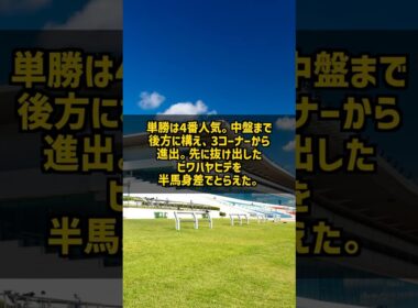 なぜ364日ぶりの出走で有馬記念を勝てたのか トウカイテイオー1993 #Shorts