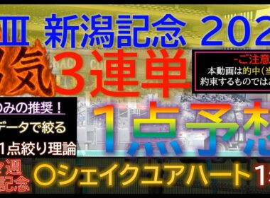 ★宝塚記念2026で３連複１点的中★【男気1点】新潟記念2026～究極3連単1点絞り理論 #競馬 #競馬予想 #新潟記念 #新潟記念2026 #新潟記念予想 #中京2歳ステークス #中京2歳s