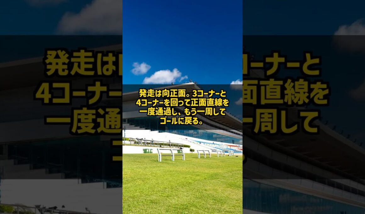 なぜ有馬記念はコーナーを6回も回るのか 内回り1周1667.1m #Shorts