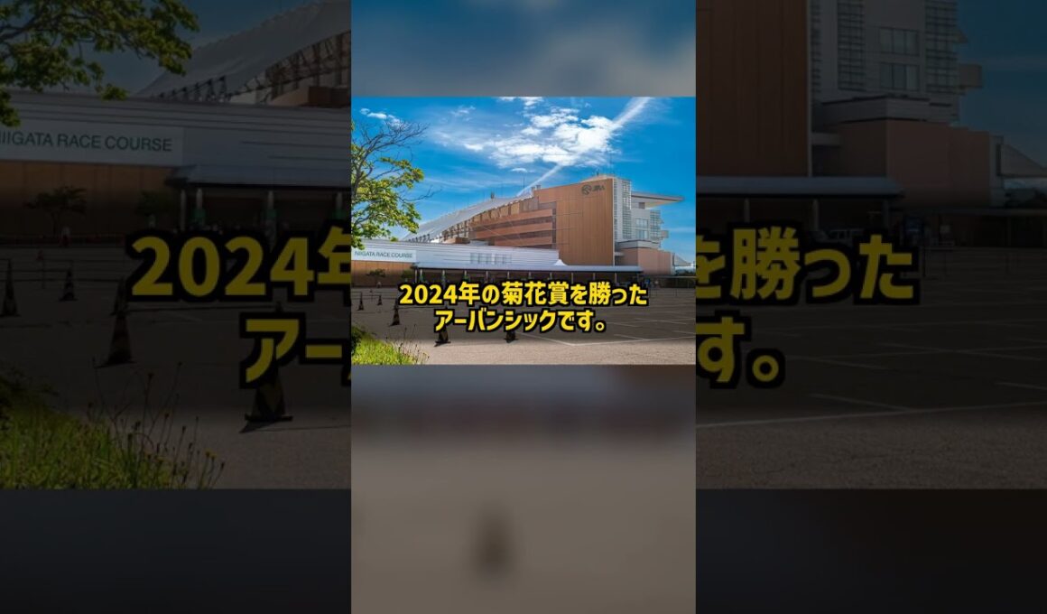 なぜ59キロを背負う2頭はどちらも菊花賞馬なのか 新潟記念2026 #Shorts
