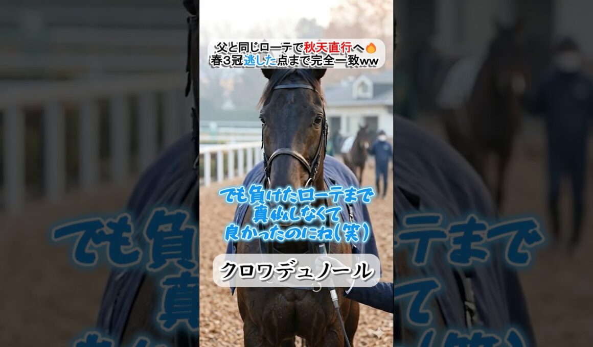【父子完全シンクロ】秋初戦は天皇賞・秋へ！クロワデュノールが語る「父キタサンと同じ道」ｗｗ #キタサンブラック #天皇賞秋 #競馬 #名馬 #ウマ娘
