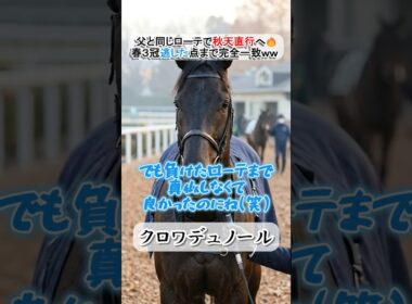 【父子完全シンクロ】秋初戦は天皇賞・秋へ！クロワデュノールが語る「父キタサンと同じ道」ｗｗ #キタサンブラック #天皇賞秋 #競馬 #名馬 #ウマ娘