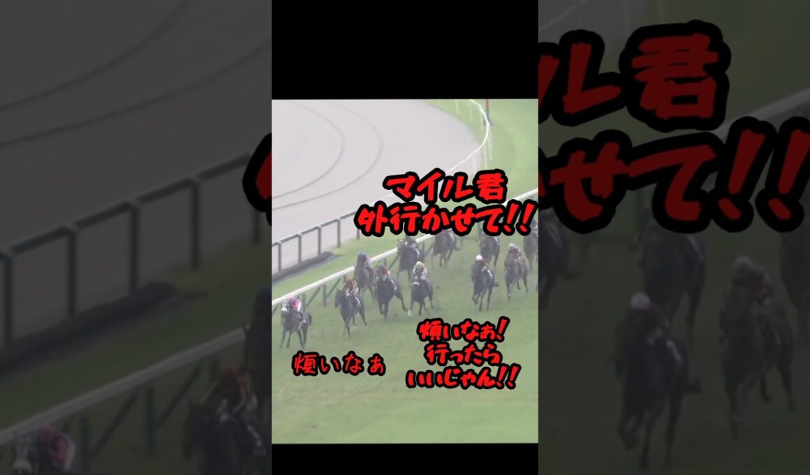 デサイルのベリベリ宝塚記念2026☆Part3#競馬 #競馬好き #馬#馬好き#ダノンデサイル#コスモキュランダ#メイショウタバル#宝塚記念