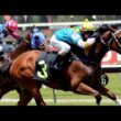JAPANESE HORSE RACING LIVESTREAM 04 Aug 2026