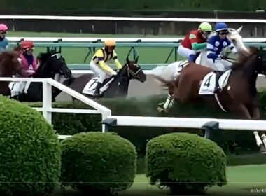 中山大障害・GJを内馬場から観れるのか⁉️障害オープンと過去3回のレース超ダイジェストと二つの大障害＝大竹柵と大生垣近影