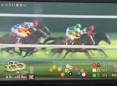 【競馬実況動画2026】第80回朝日杯セントライト記念 ジャスティンシカゴ（原優介）