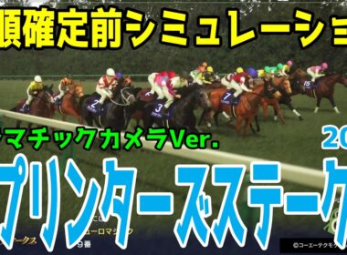 【スプリンターズステークス2026】枠順確定前シミュレーション【ドラマチックカメラVer.】展開・血統・コース適正様々なファクターで攻略するシミュレーション パンジャタワー・スターアニスなどが有力