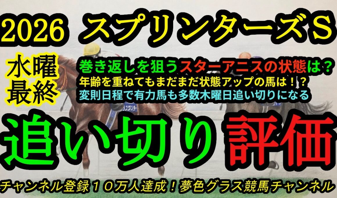 【最終追い切り評価】2026スプリンターズステークス！巻き返しを狙うスターアニスの状態は？追い切りを見ても老いを感じない有力馬！