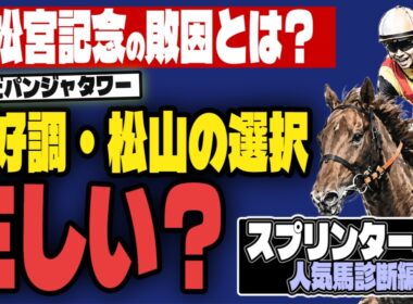 【スプリンターズステークス2026】松山はなぜ、パンジャタワーを選んだのか？ 人気3強、狙うべきなのはどれだ!?【スターアニスの不安】