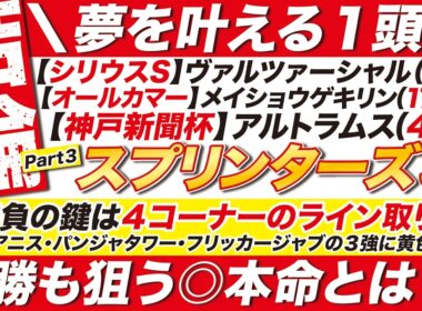 🎯魂の最終結論→【スプリンターズステークス 2026 予想】勝負の鍵は４コーナーのライン取り？！スターアニス・パンジャタワー・フリッカージャブの３強に黄色信号？単勝も狙う◎本命とは？！