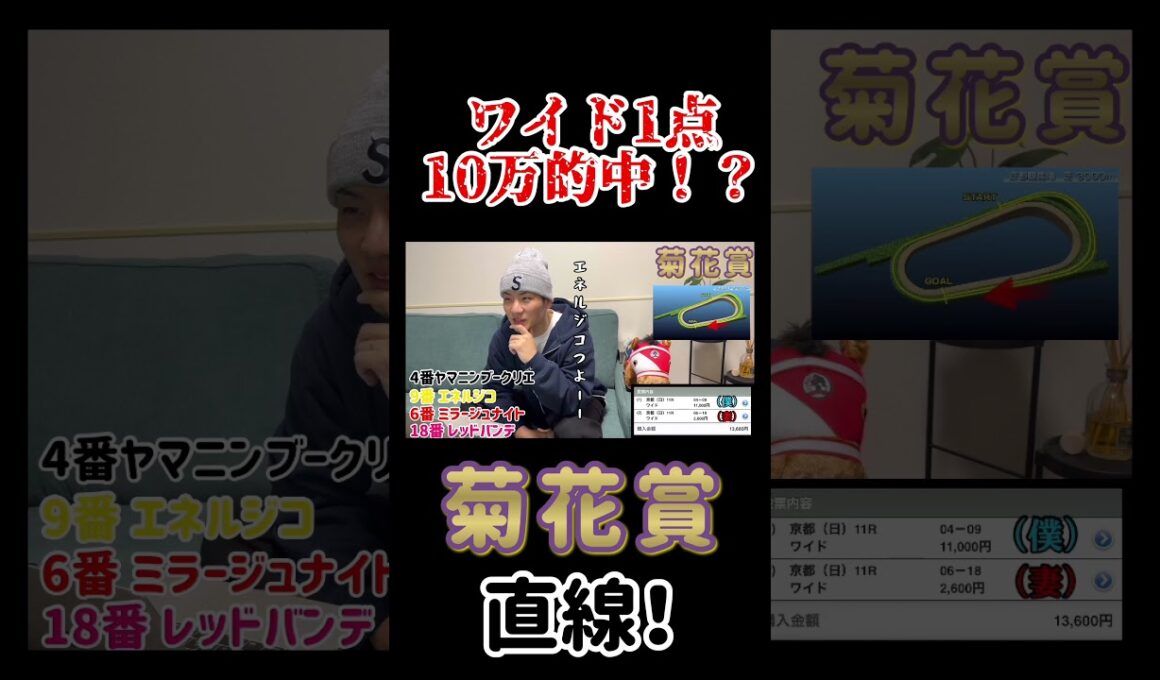 【菊花賞2025】ワイド1点で10万的中なるか！？ #菊花賞 #実践 #g1