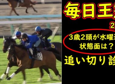 【毎日王冠2026】追い切り診断｜3歳3頭の評価は変わる？リアライズシリウス・アドマイヤクワッズを検証【ライヒスアドラーは木曜追い】