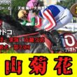 【競馬】 姫山菊花賞（園田） 2026 / オマツリオトコ