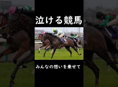 【泣ける競馬】みんなの想いを乗せて【ゆっくり解説】#shorts #競馬 #桜花賞 #デアリングタクト